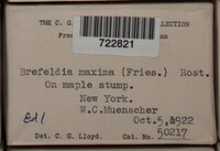 Image Associated With the Occurence